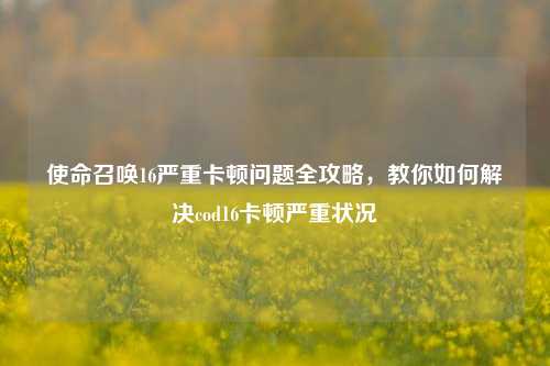 使命召唤16严重卡顿问题全攻略,教你如何解决cod16卡顿严重状况