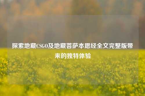 探索地藏CSGO及地藏菩萨本愿经全文完整版带来的独特体验