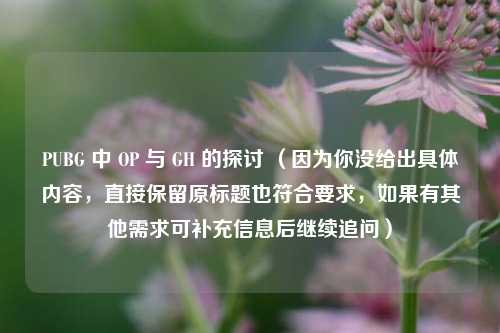PUBG 中 OP 与 GH 的探讨 (因为你没给出具体内容,直接保留原标题也符合要求,如果有其他需求可补充信息后继续追问)