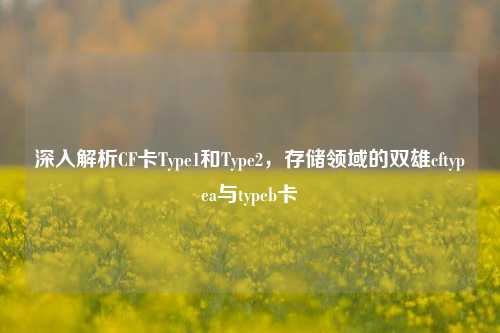 深入解析CF卡Type1和Type2,存储领域的双雄cftypea与typeb卡
