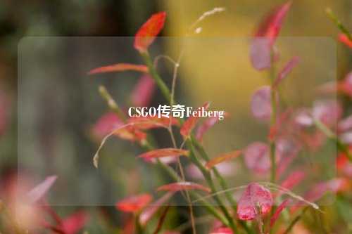 CSGO传奇Feiberg