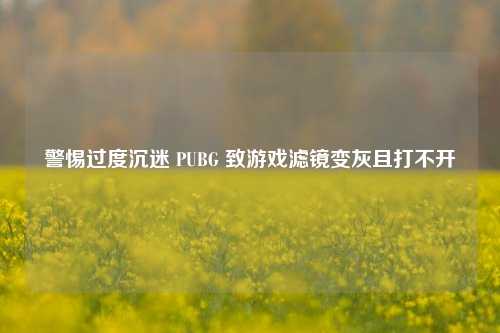 警惕过度沉迷 PUBG 致游戏滤镜变灰且打不开