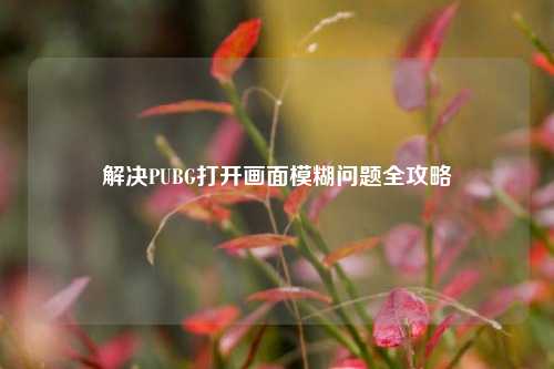 解决PUBG打开画面模糊问题全攻略
