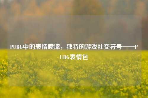 PUBG中的表情喷漆，独特的游戏社交符号——PUBG表情包