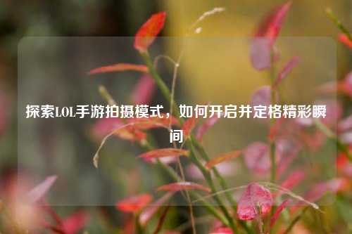 探索LOL手游拍摄模式,如何开启并定格精彩瞬间