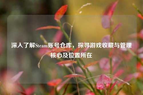 深入了解Steam账号仓库,探寻游戏收藏与管理核心及位置所在