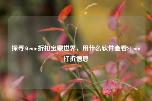 探寻Steam折扣宝藏世界，用什么软件查看Steam打折信息
