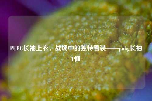 PUBG长袖上衣，战场中的独特着装——pubg长袖T恤