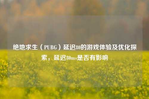 绝地求生(PUBG)延迟80的游戏体验及优化探索,延迟80ms是否有影响