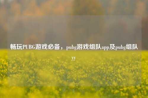 畅玩PUBG游戏必备，pubg游戏组队app及pubg组队yy