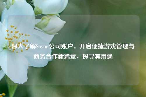 深入了解Steam公司账户，开启便捷游戏管理与商务合作新篇章，探寻其用途