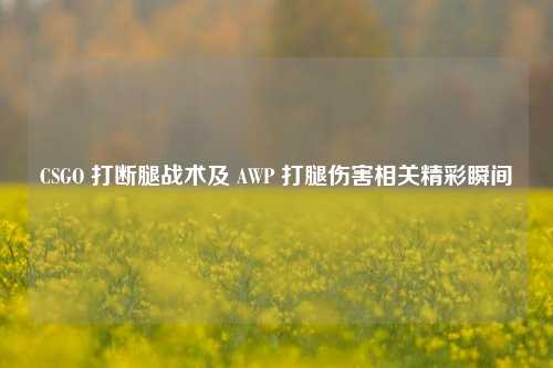 CSGO 打断腿战术及 AWP 打腿伤害相关精彩瞬间