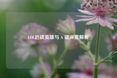 LOL近战英雄与 A 键深度解析