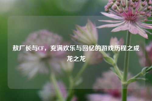 敖厂长与CF，充满欢乐与回忆的游戏历程之成龙之龙
