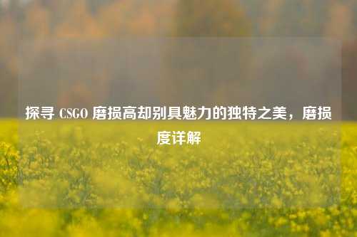 探寻 CSGO 磨损高却别具魅力的独特之美,磨损度详解
