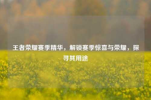 王者荣耀赛季精华,解锁赛季惊喜与荣耀,探寻其用途