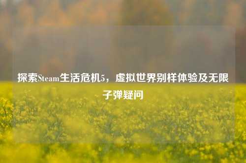 探索Steam生活危机5,虚拟世界别样体验及无限子弹疑问