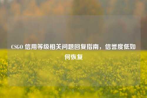 CSGO 信用等级相关问题回复指南,信誉度低如何恢复