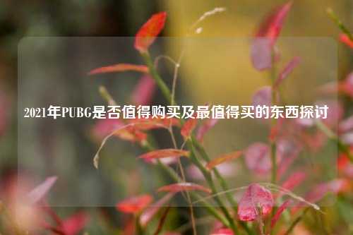 2021年PUBG是否值得购买及最值得买的东西探讨