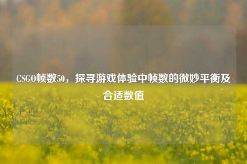CSGO帧数50,探寻游戏体验中帧数的微妙平衡及合适数值