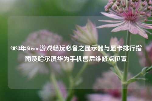 2023年Steam游戏畅玩必备之显示器与显卡排行指南及哈尔滨华为手机售后维修点位置