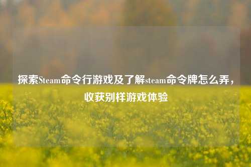 探索Steam命令行游戏及了解steam命令牌怎么弄，收获别样游戏体验
