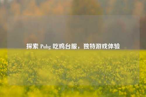 探索 Pubg 吃鸡台服，独特游戏体验