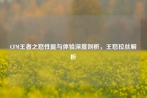 CFM王者之怒性能与体验深度剖析,王怒拉丝解析