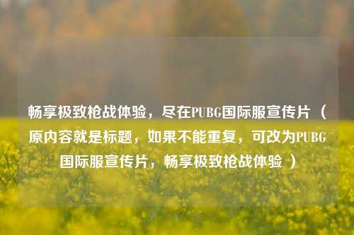 畅享极致枪战体验，尽在PUBG国际服宣传片 （原内容就是标题，如果不能重复，可改为PUBG国际服宣传片，畅享极致枪战体验 ）