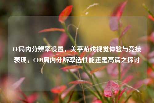 CF局内分辨率设置,关乎游戏视觉体验与竞技表现,CFM局内分辨率选性能还是高清之探讨