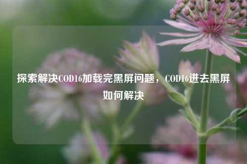 探索解决COD16加载完黑屏问题，COD16进去黑屏如何解决