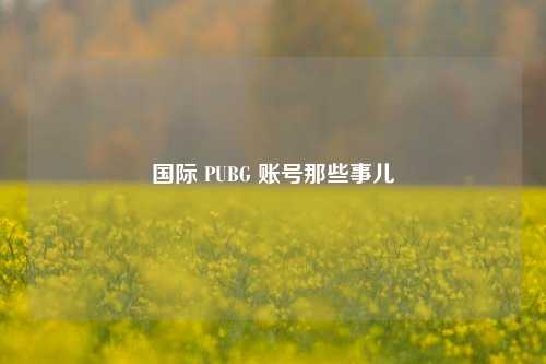 国际 PUBG 账号那些事儿