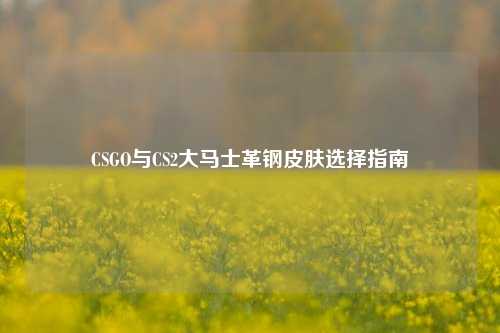 CSGO与CS2大马士革钢皮肤选择指南
