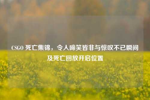 CSGO 死亡集锦,令人啼笑皆非与惊叹不已瞬间及死亡回放开启位置