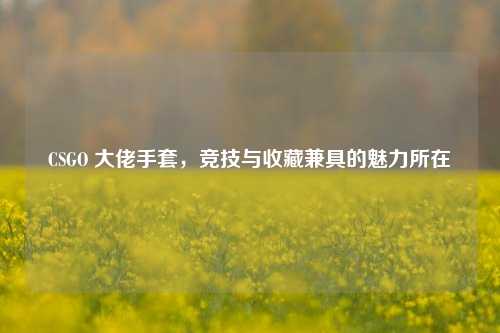 CSGO 大佬手套,竞技与收藏兼具的魅力所在