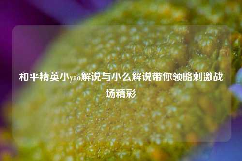和平精英小yao解说与小么解说带你领略刺激战场精彩