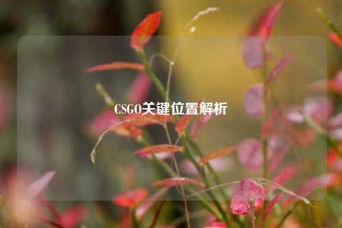 CSGO关键位置解析
