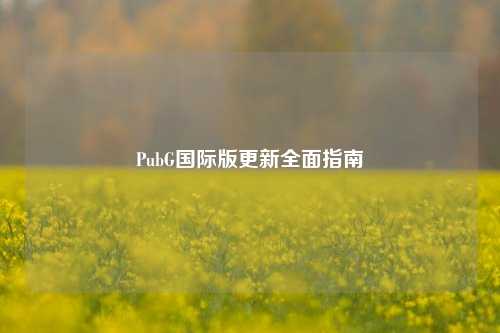 PubG国际版更新全面指南