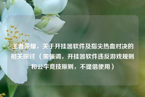 王者荣耀,关于开挂器软件及指尖热血对决的相关探讨 (需强调,开挂器软件违反游戏规则和公平竞技原则,不提倡使用)