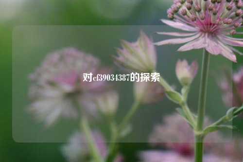 对cf39034387的探索