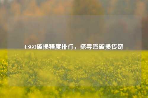 CSGO破损程度排行,探寻嘭破损传奇