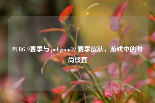 PUBG 9赛季与 pubgmm19 赛季皮肤，游戏中的时尚盛宴