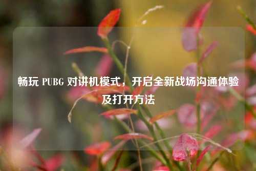 畅玩 PUBG 对讲机模式，开启全新战场沟通体验及打开方法