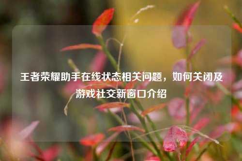 王者荣耀助手在线状态相关问题,如何关闭及游戏社交新窗口介绍