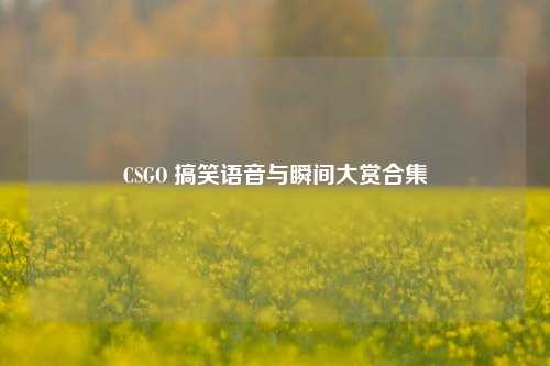 CSGO 搞笑语音与瞬间大赏合集