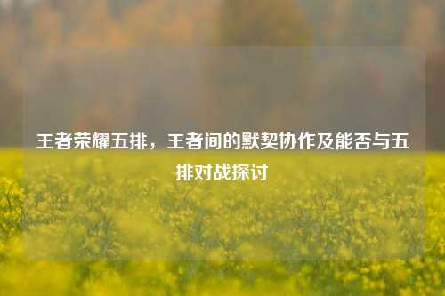 王者荣耀五排，王者间的默契协作及能否与五排对战探讨