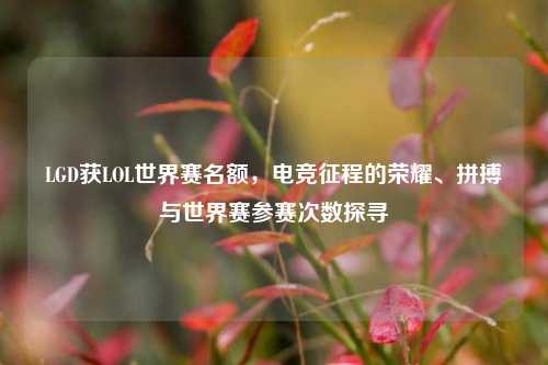 LGD获LOL世界赛名额,电竞征程的荣耀、拼搏与世界赛参赛次数探寻