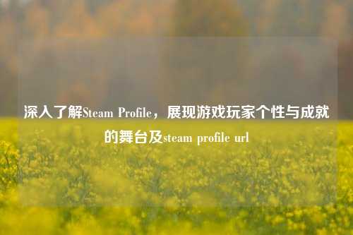 深入了解Steam Profile，展现游戏玩家个性与成就的舞台及steam profile url