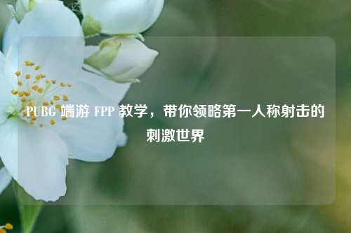 PUBG 端游 FPP 教学,带你领略第一人称射击的刺激世界