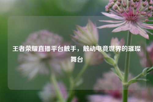 王者荣耀直播平台触手，触动电竞世界的璀璨舞台